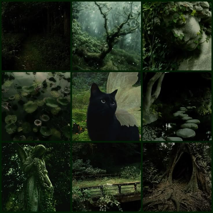 bog